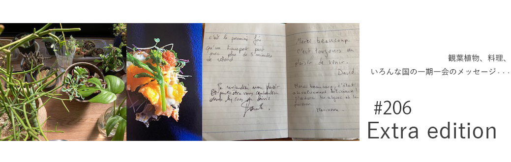観葉植物、料理、<br>
            いろんな国の一期一会のメッセージ